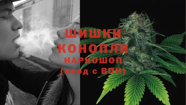 метадон Бикин