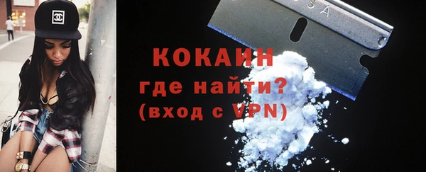 ПСИЛОЦИБИНОВЫЕ ГРИБЫ Няндома