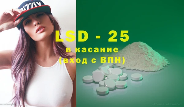 ПСИЛОЦИБИНОВЫЕ ГРИБЫ Няндома