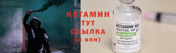 ПСИЛОЦИБИНОВЫЕ ГРИБЫ Няндома
