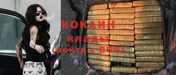 ПСИЛОЦИБИНОВЫЕ ГРИБЫ Няндома