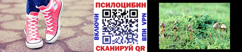 Псилоцибиновые грибы ЛСД купить наркотик Зерноград