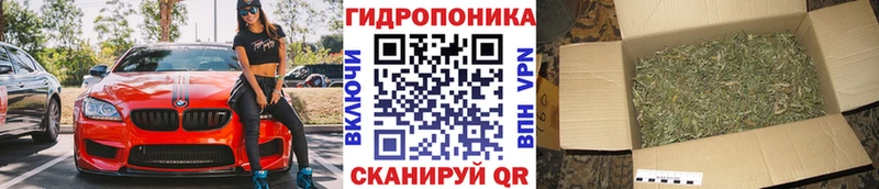 Шишки марихуана Amnesia  Зерноград 